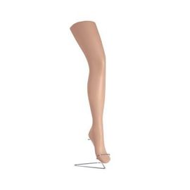 Jambe et pied