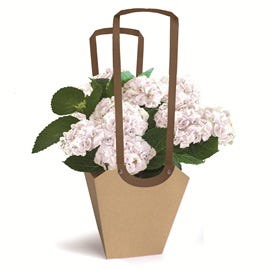 Nouveautés spécial fleuristes