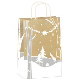 Sac kraft recyclé Forêt Enchantée poignées torsadées 18x8x24cm - par 25 Sac kraft recyclé Forêt Enchantée poignées torsadées 18x8x24cm - par 25