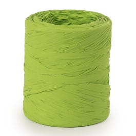 Raphia synthétique vert anis 15mmx200 m Raphia synthétique vert anis 15mmx200 m